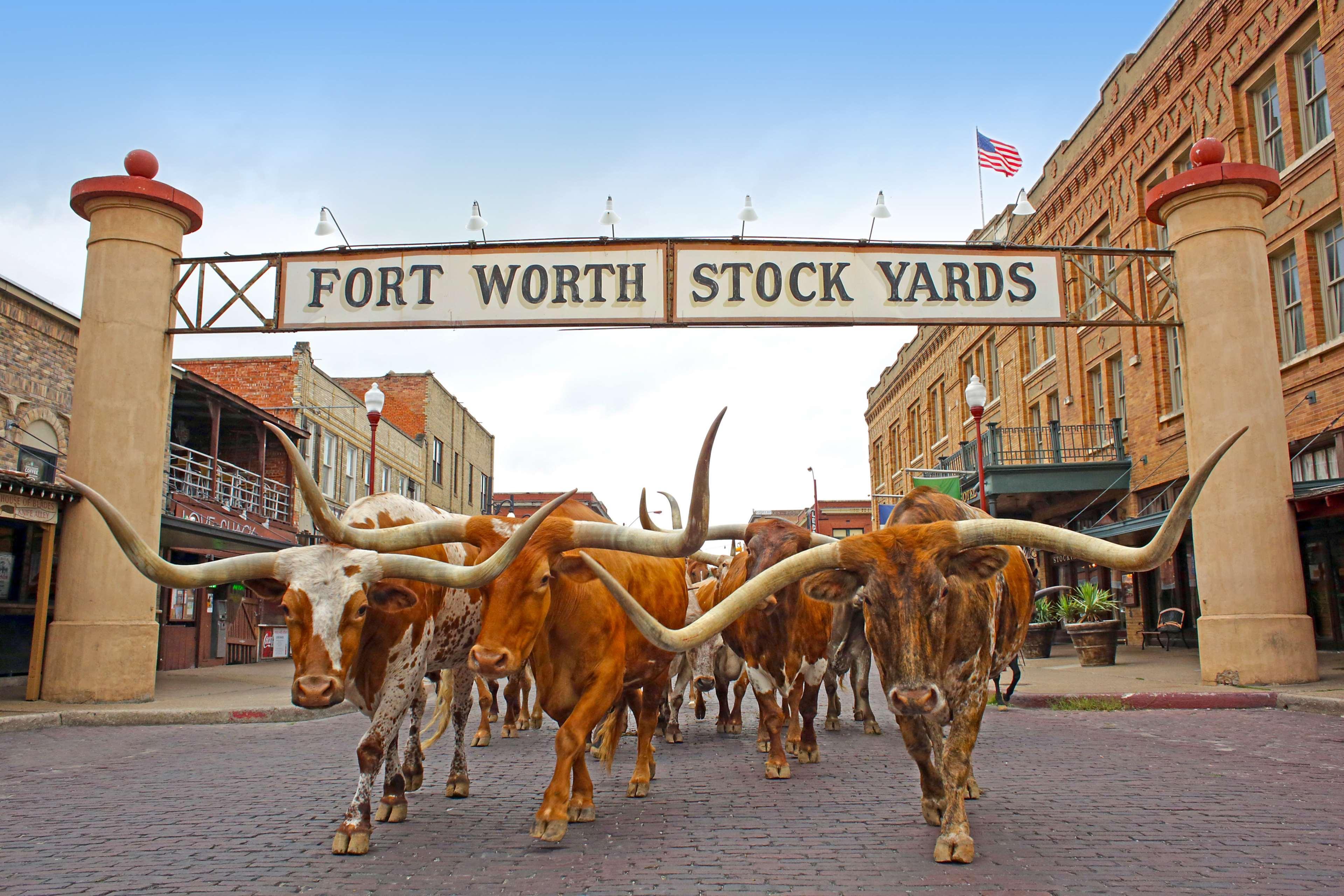 Radisson Hotel Fort Worth North-Fossil Creek Extérieur photo